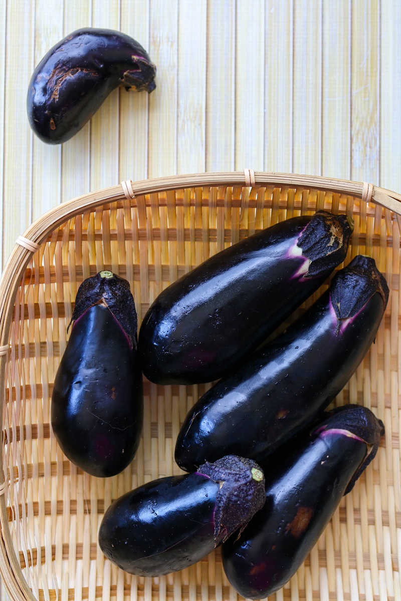 Grilled-eggplant-yaskinasu