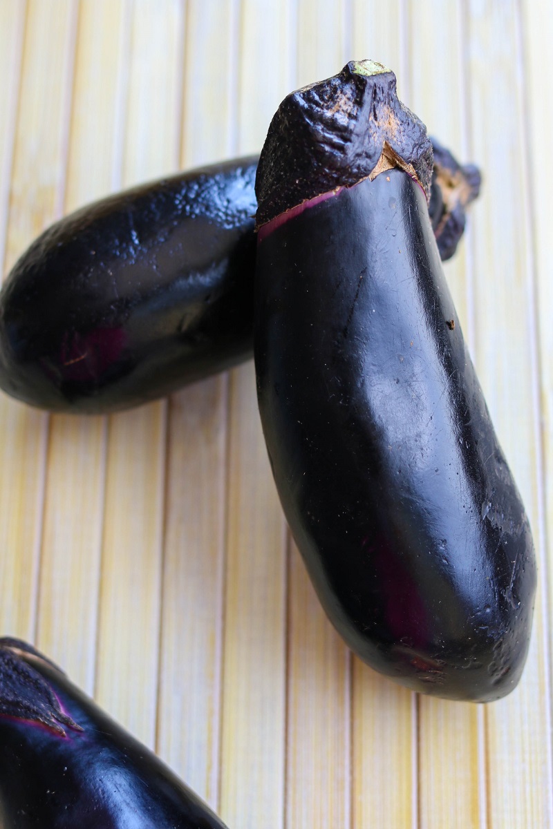 Grilled-eggplant-yaskinasu