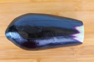 Grilled-eggplant-yaskinasu 