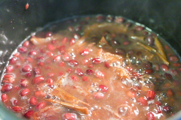 Tsubuan-Anko-Red-bean-paste 